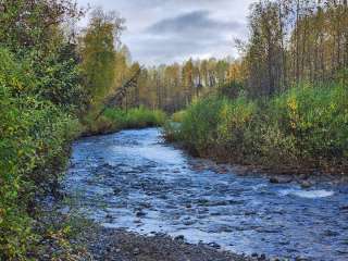 Lower Troublesome Creek Trailhead - Denali State Park