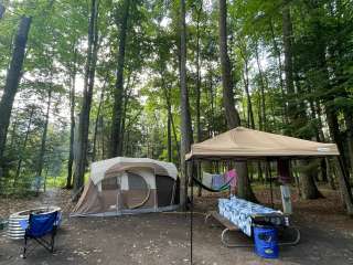 North Higgins Lake State Park