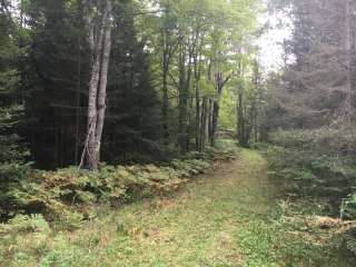 Bond Falls Campground