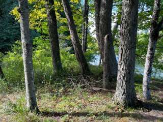 Upper Manistee River