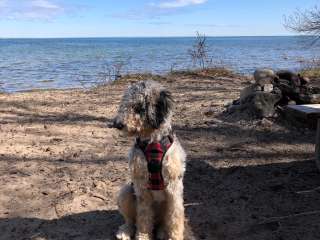 Negwegon State Park