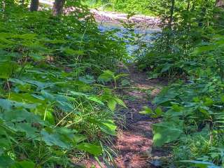 Sturgeon River Campground