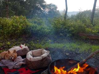 Mile High Campground — Great Smoky Mountains National Park