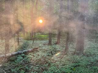 Forest Lake State Forest Campground