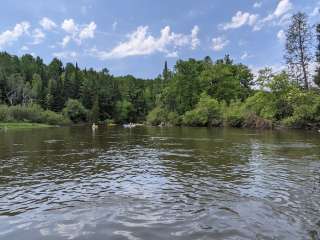 Manistee River Trail Dispersed Camping