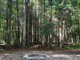 Platte River State Forest