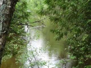 Carp River Campground