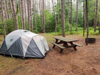 Baxter Bridge State Forest Campground