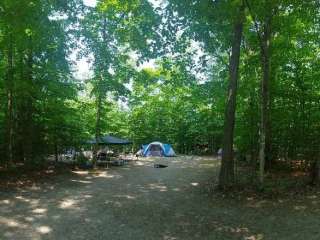 Twin Lakes State Forest Campground