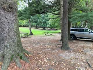 Lexington Park Campground