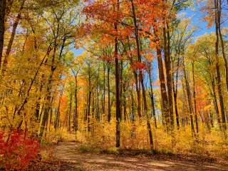 Trout Lake