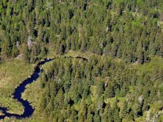 Washington Creek Campground — Isle Royale National Park