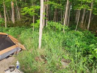 Weather Station Campground — Sleeping Bear Dunes National Lakeshore