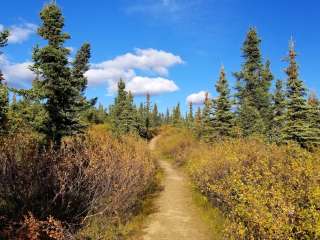 Wickersham Creek Trail Shelter