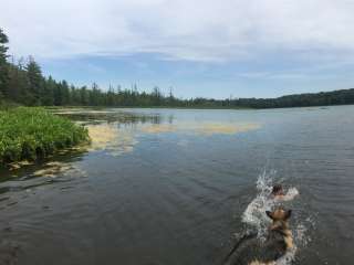 Twinwood Lake Campground