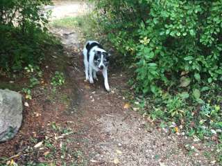 Mauthe Lake Campground — Kettle Moraine State Forest-Northern Unit-Iansr