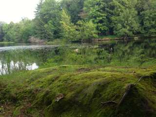 Brunet Island State Park