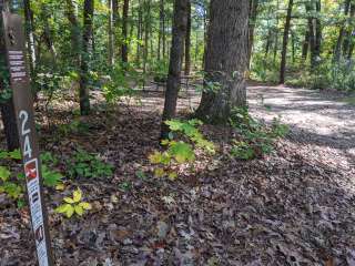 Sandstone Ridge Campground — Mirror Lake State Park