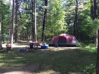 Roche A Cri State Park