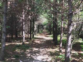 Kettle Moraine South Camping — Kettle Moraine State Forest-Southern Unit