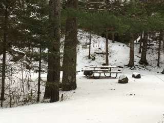 Finland State Forest - Eckbeck Campground