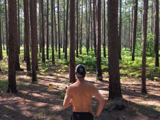 Culhane Lake State Forest Campground