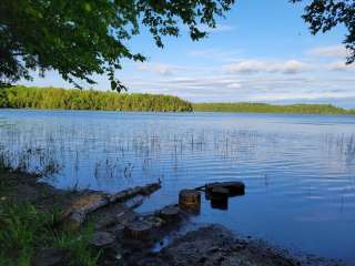 Little Bass Lake Dispersed Campsites