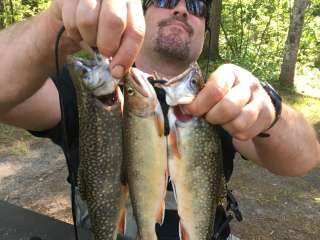 East Branch of Fox River State Forest Campground