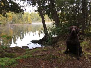 Grand Portage State Forest Devilfish Lake Campsite