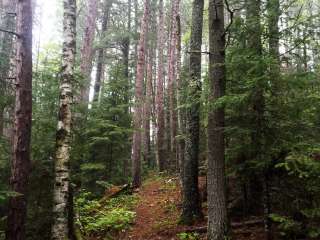 Pine Lake Campsite