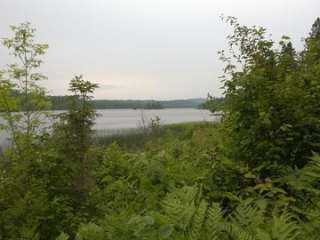 East Chickenbone Campground — Isle Royale National Park