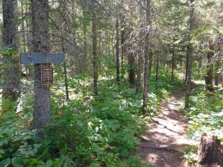 North Little Brule River, Superior Hiking Trail