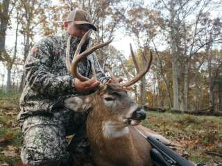 Whitetail Sanctuary