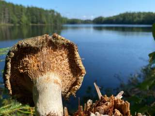 Crystal Lake Campground — Northern Highland State Forest