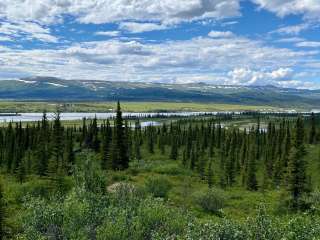 Denali Highway - Dispersed Site