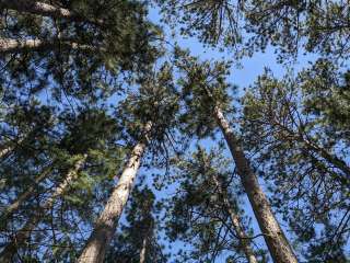 Firefly Lake — Northern Highland State Forest