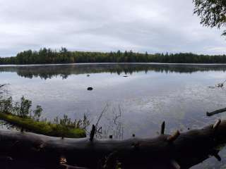 Emily Lake State Forest Campground