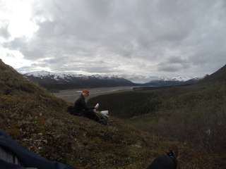 Backcountry Unit 31: Polychrome Mountain — Denali National Park