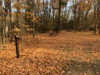 South Trout Lake — Northern Highland State Forest