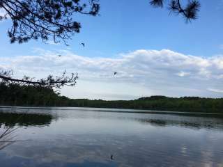 Moosehead Lake Campground