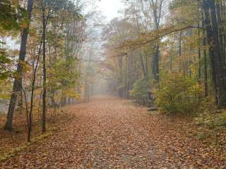 Stevens Lake Campground