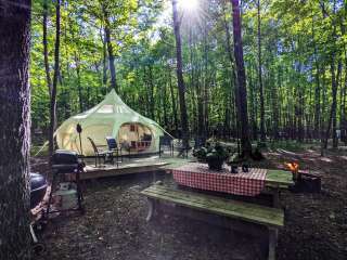 Coadys' Point of View Lake Resort & Glamping Campground