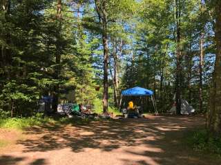 Emily Lake NF Campground