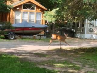 Maple View Resort and Campground