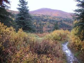 Romig Cabin