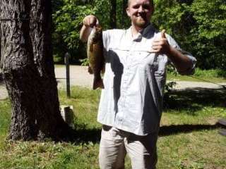 Cedar River North State Forest Campground