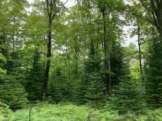 Beaver Island Bill Wagner Memorial Campground