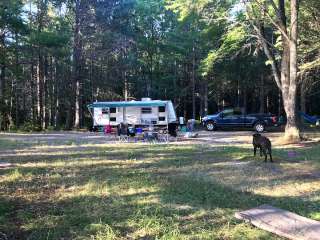 Chicago Lake Dispersed Campsite