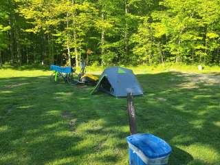 Leafy Oaks RV Park and Campground