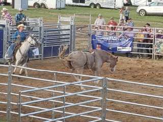 Isabella County Fairgrounds